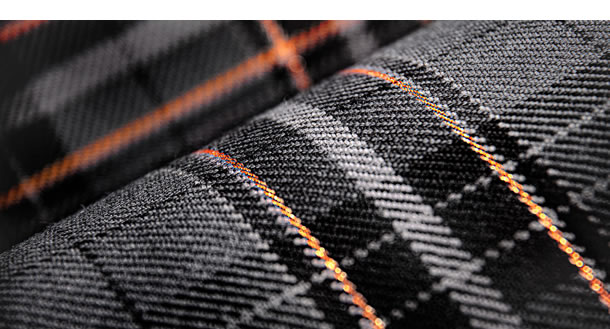 allen 25 tartan fabric